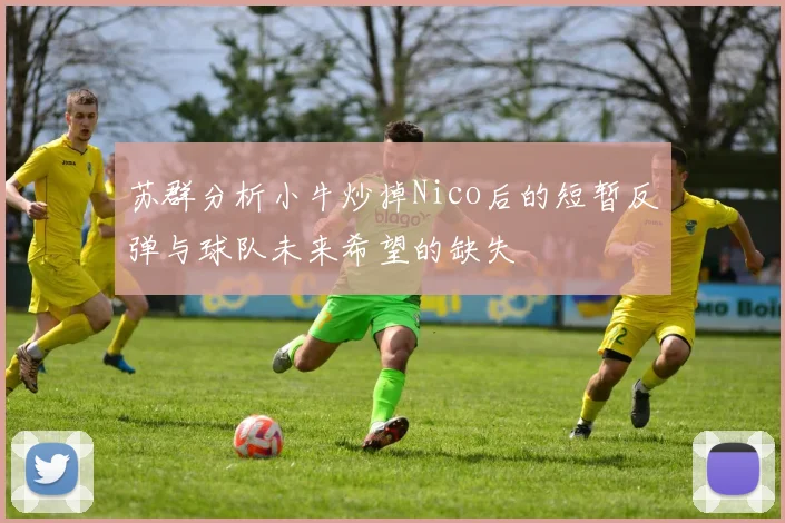 苏群分析小牛炒掉Nico后的短暂反弹与球队未来希望的缺失