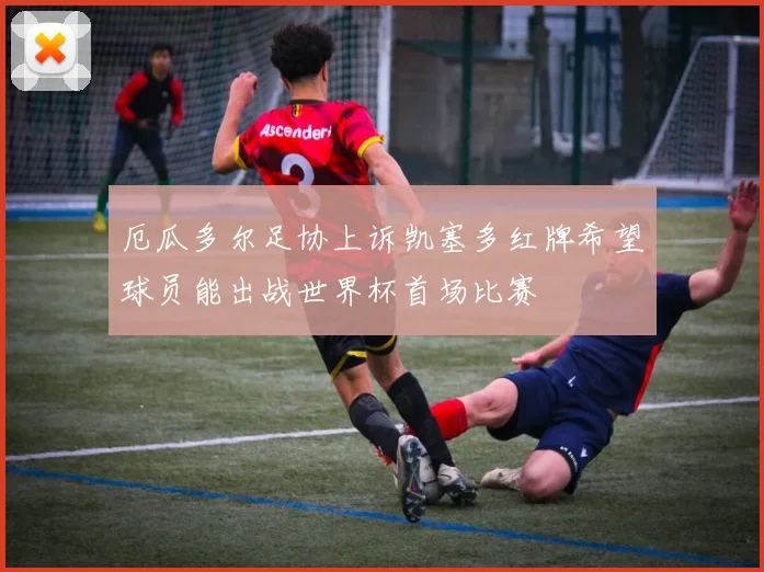 厄瓜多尔足协上诉凯塞多红牌希望球员能出战世界杯首场比赛