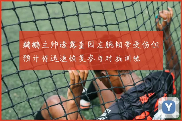 鹈鹕主帅透露奎因左腕韧带受伤但预计将迅速恢复参与对抗训练