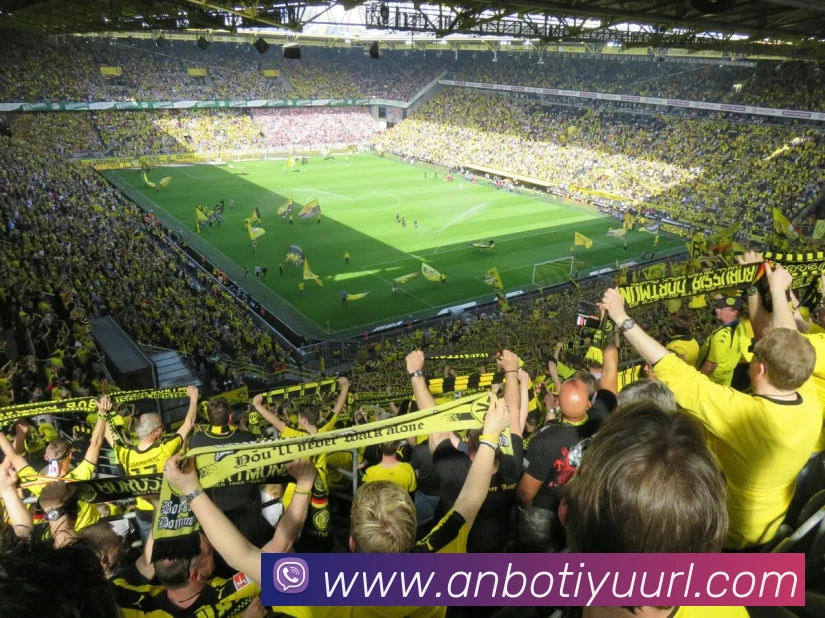 安博体育APP 体育赛事宣传图